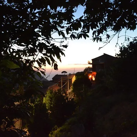 L'uliveto Farm stay