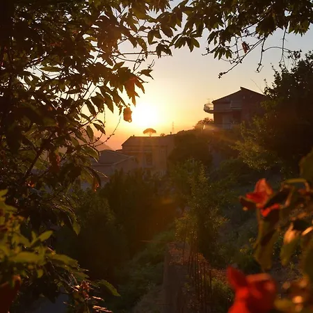 L'uliveto Farm stay *