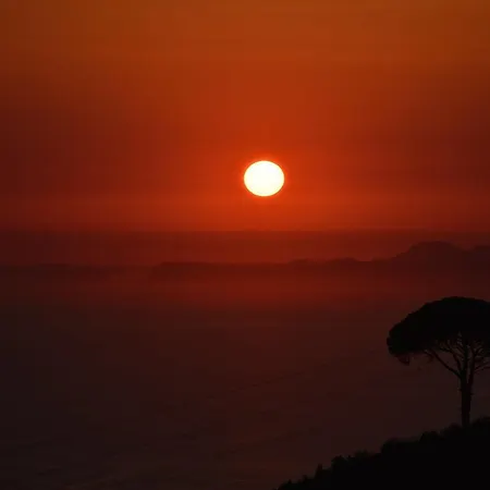 Farm stay L'uliveto Casola di Napoli