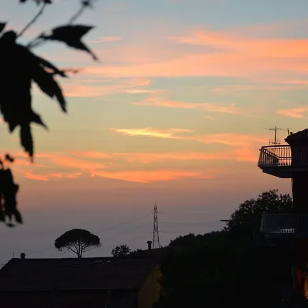 Farm stay L'uliveto